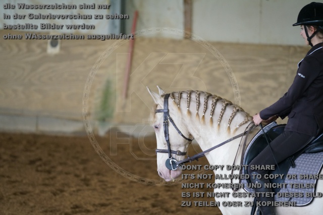 s_K3F03895.JPG
